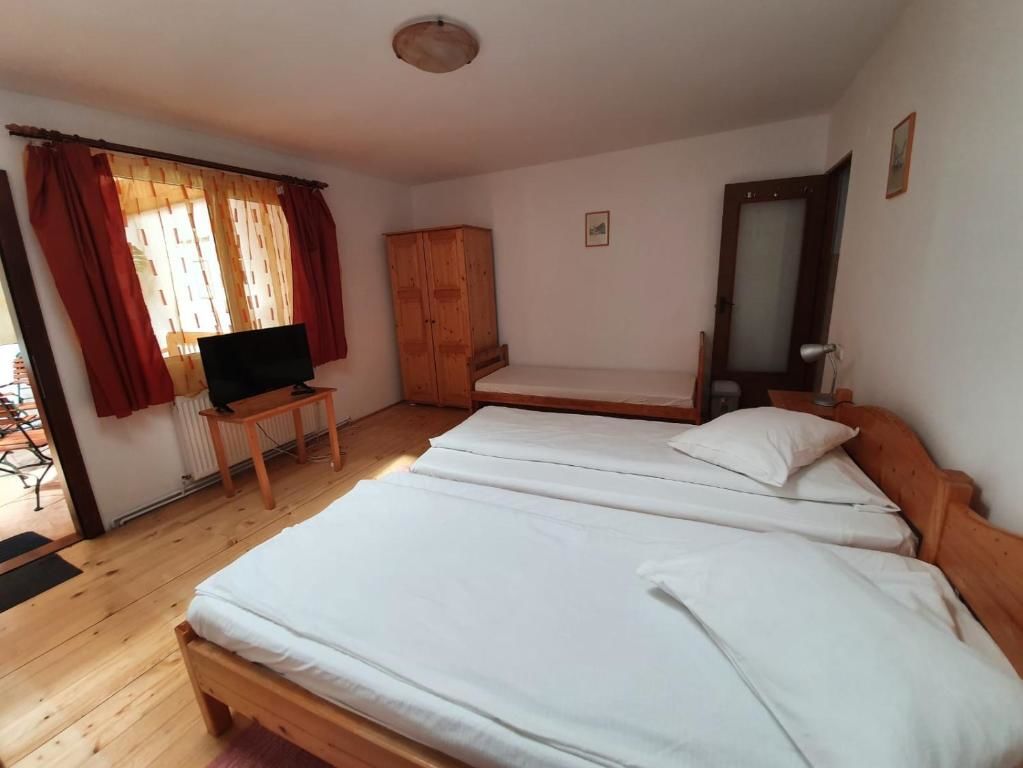 Гостевой дом Casa Terezia Брашов-26