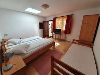 Гостевой дом Casa Terezia Брашов Двухместный номер с 2 отдельными кроватями-18