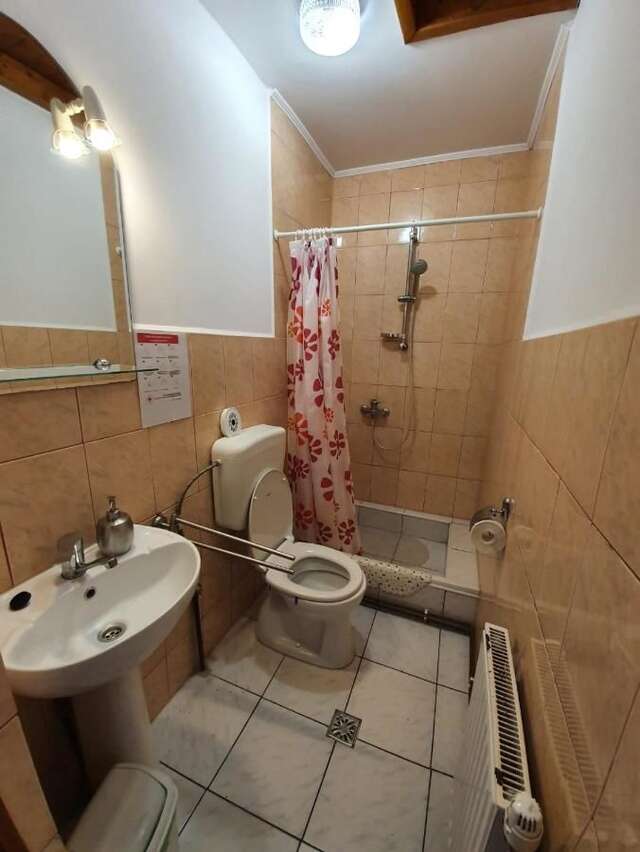Гостевой дом Casa Terezia Брашов-14