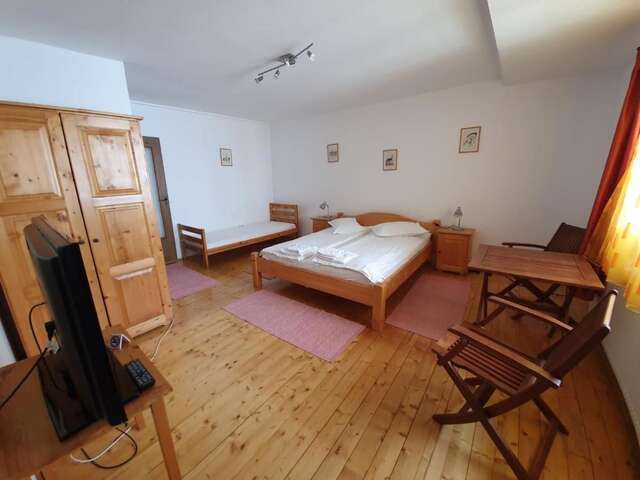Гостевой дом Casa Terezia Брашов-7
